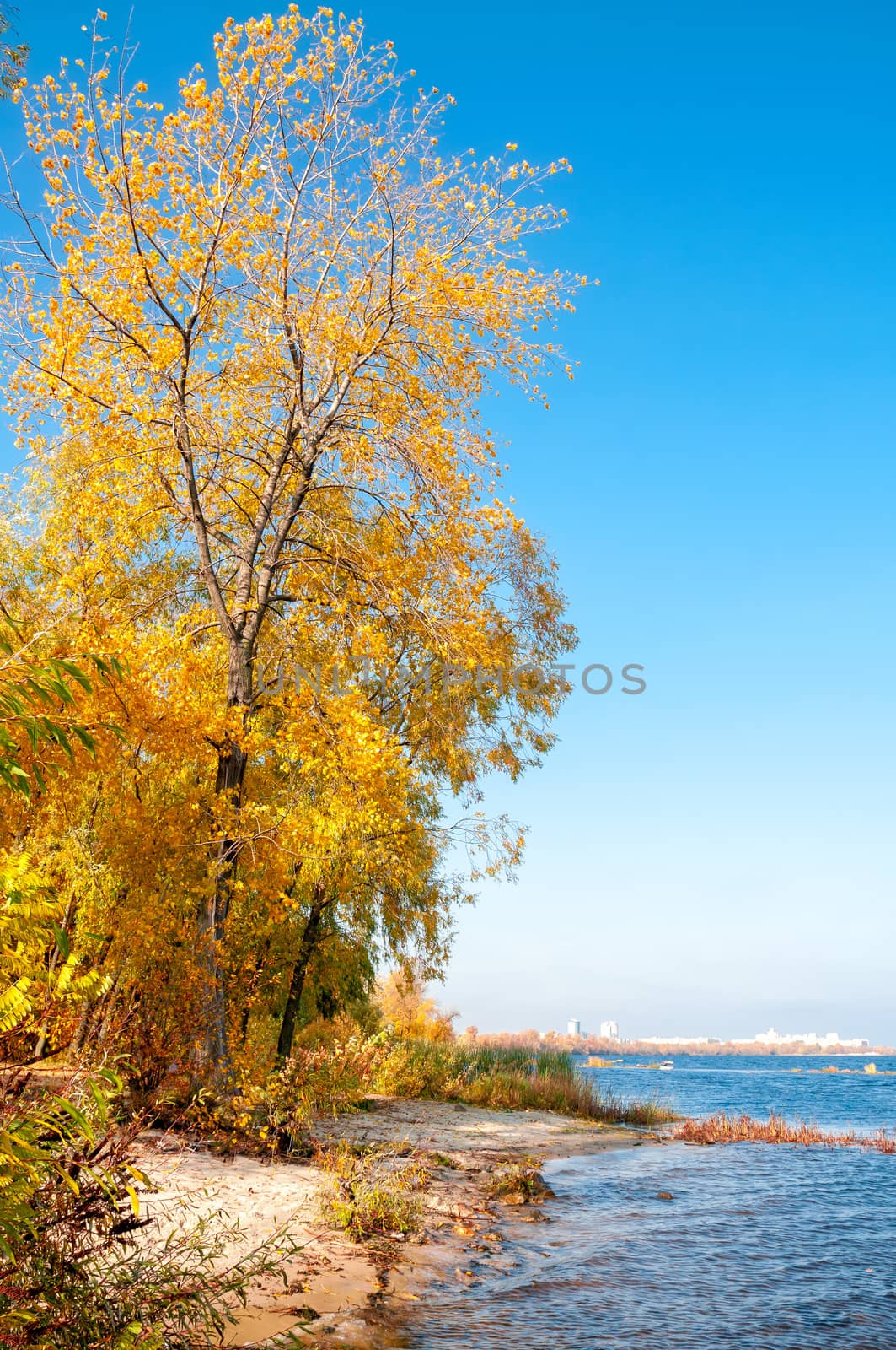 Autumn falls on the Dnieper River in Kiev