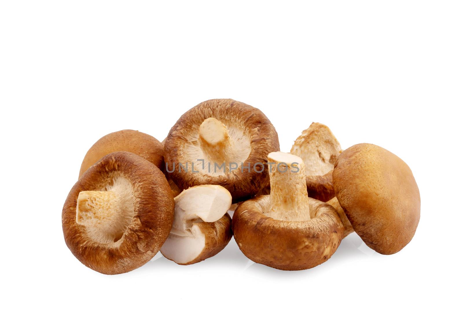 
Shiitake mushroom on the White background by freedomnaruk