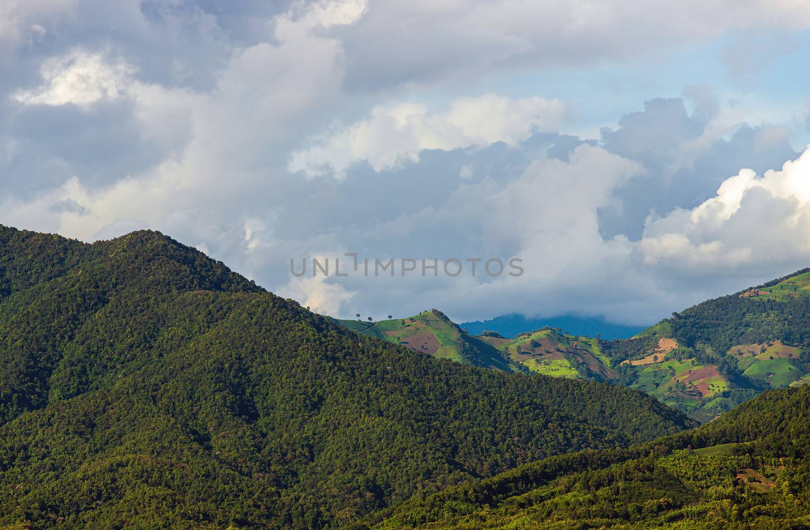 Beautiful summer landscape in the mountains with the sunset by freedomnaruk