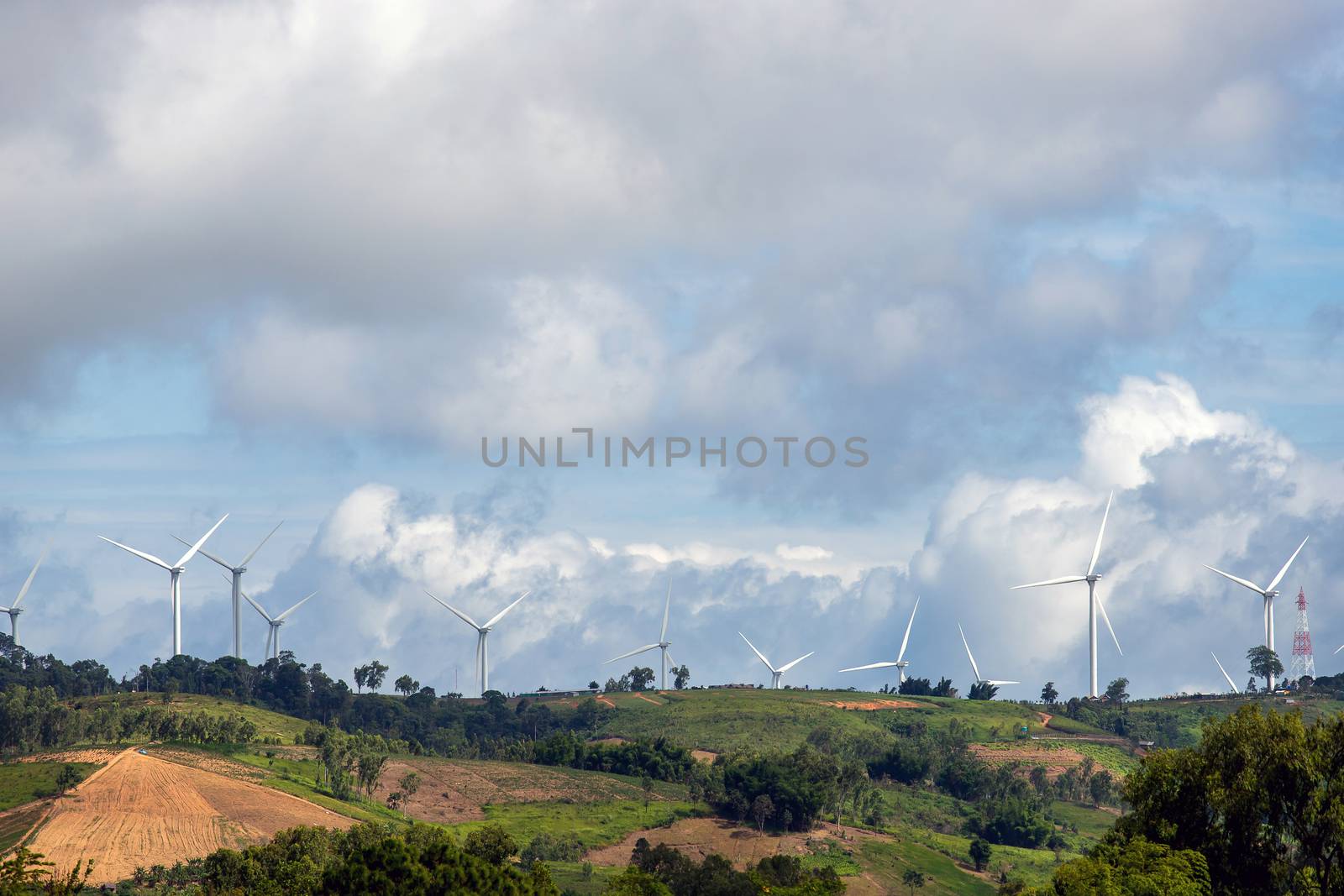 Wind turbines on sunny morning