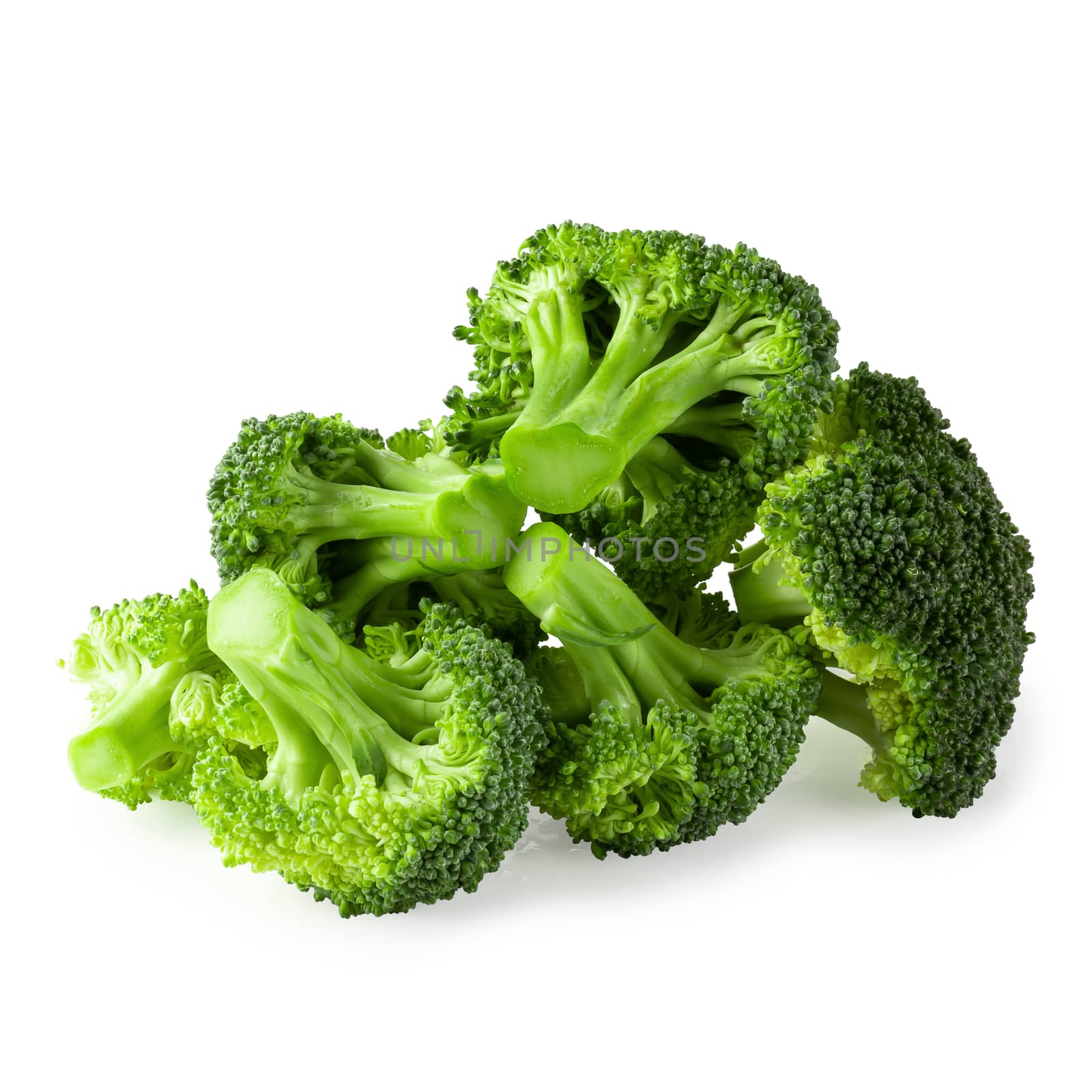 Fresh broccoli blocks for cooking isolated on white background.