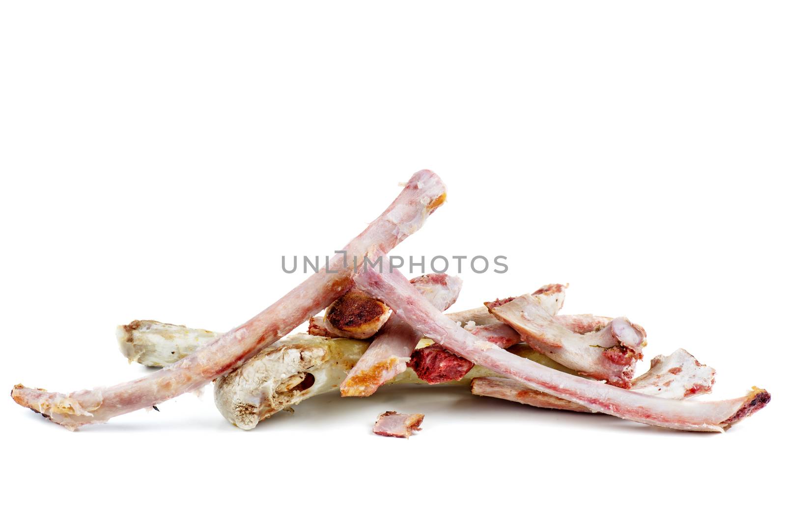 Rib bones on a white background