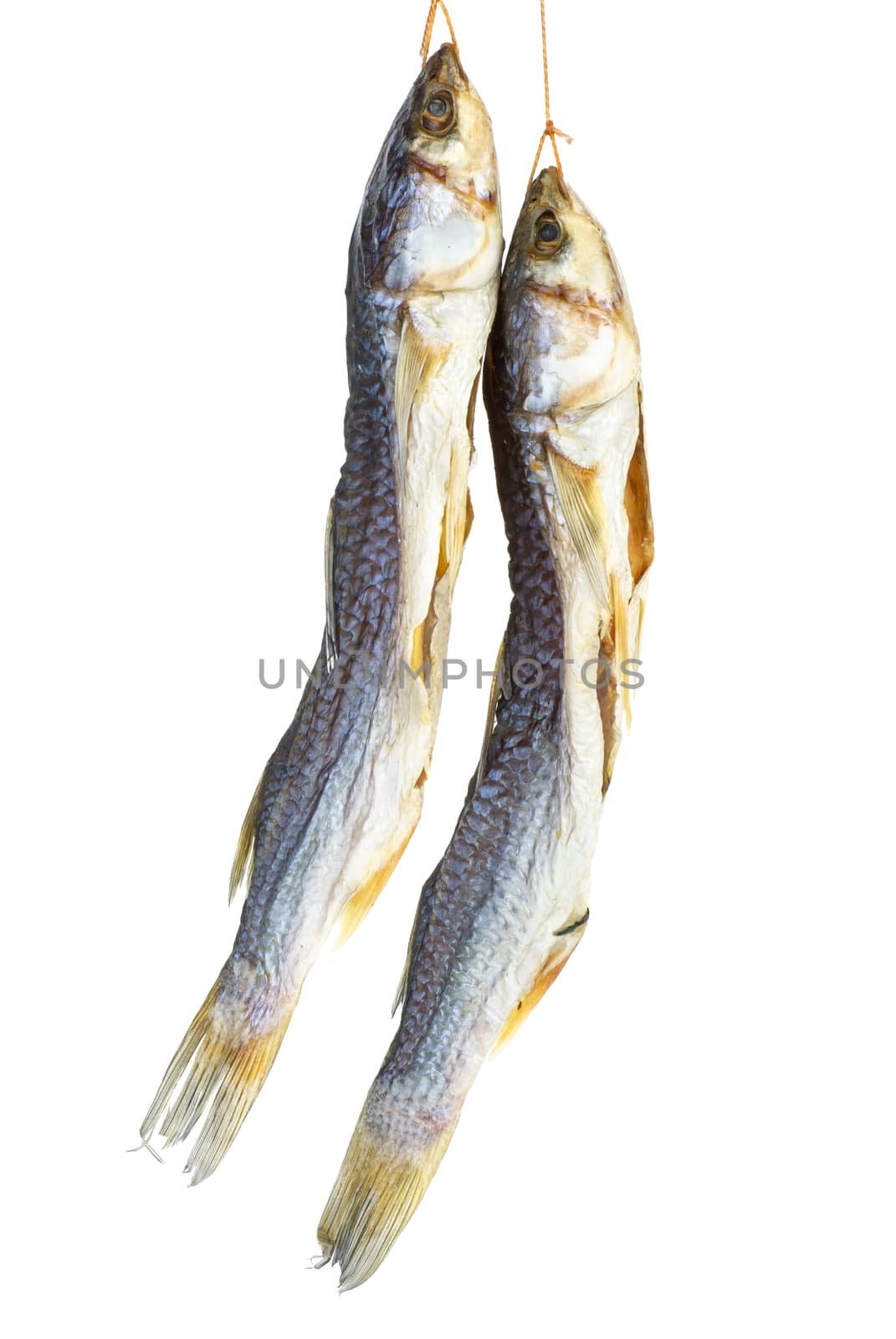 Salted mullet fishes isolated on white background