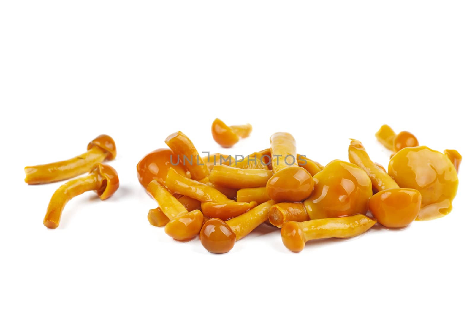 Marinated honey agarics isolated on white background