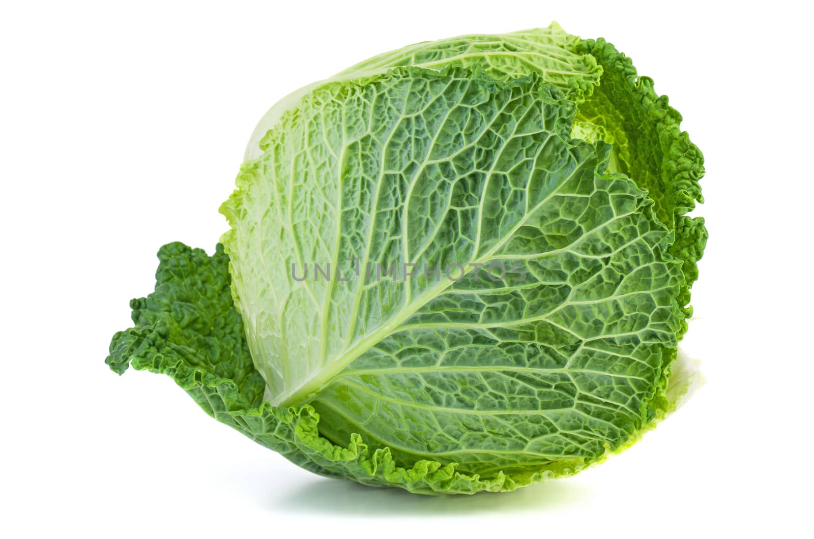 Savoy cabbage isolated on white background