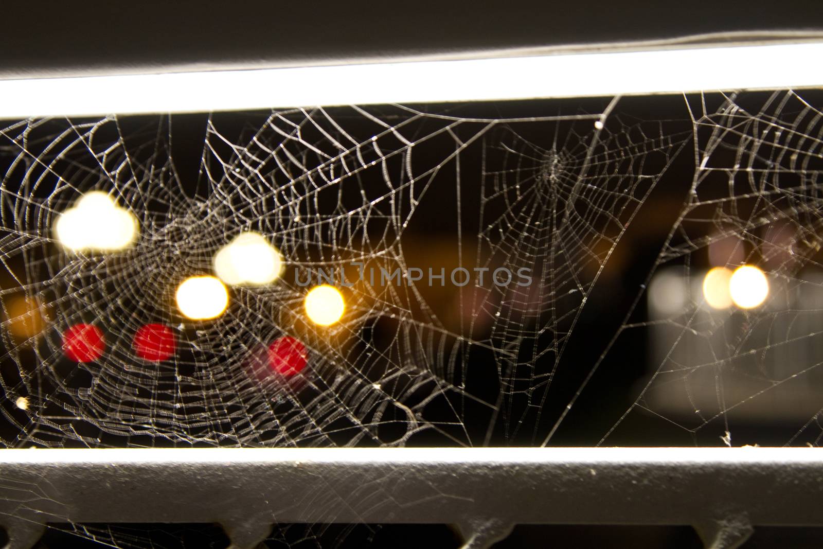 Macro of a Spiderweb at night