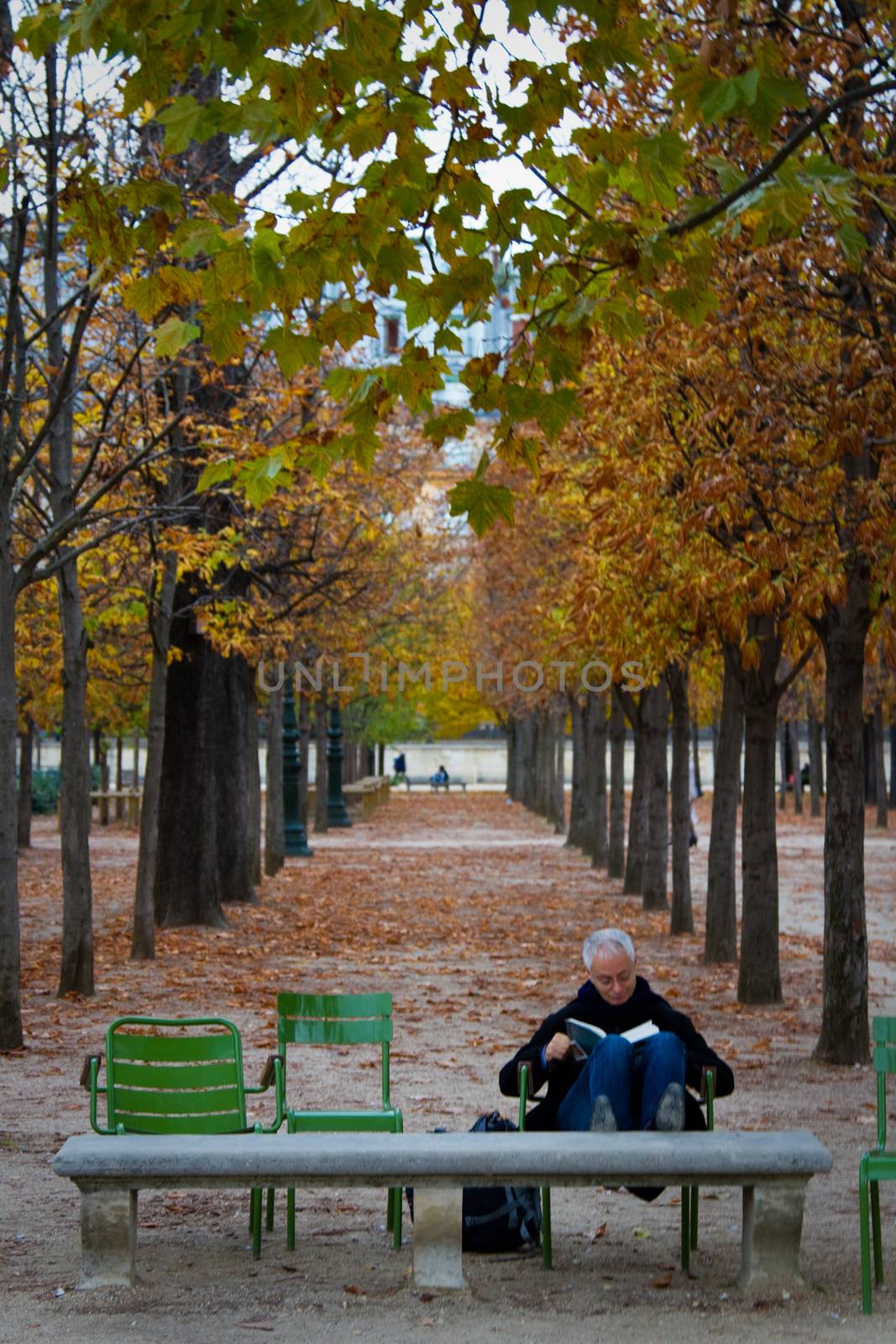 A man reading in a park in Paris, France