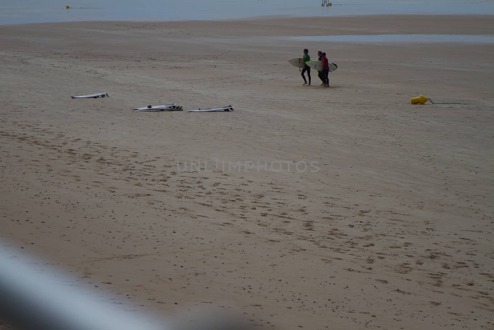 Surfers at a beach