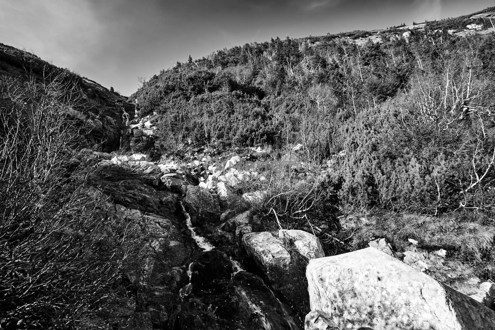 Waterfall among the rocks in the valley of the Giant Mountains in Poland, black and white