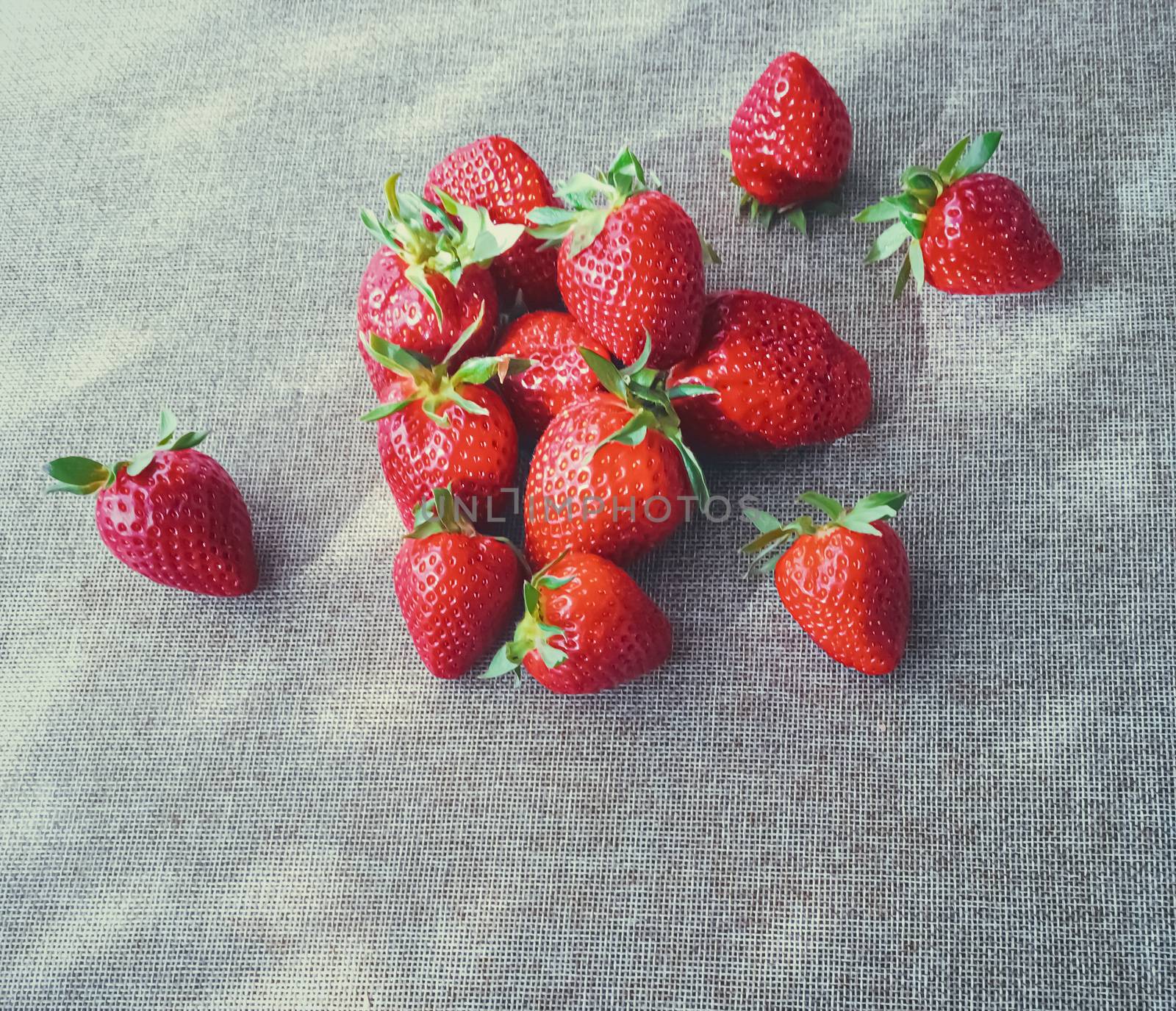Organic strawberries on rustic linen background, fruit farming and agriculture