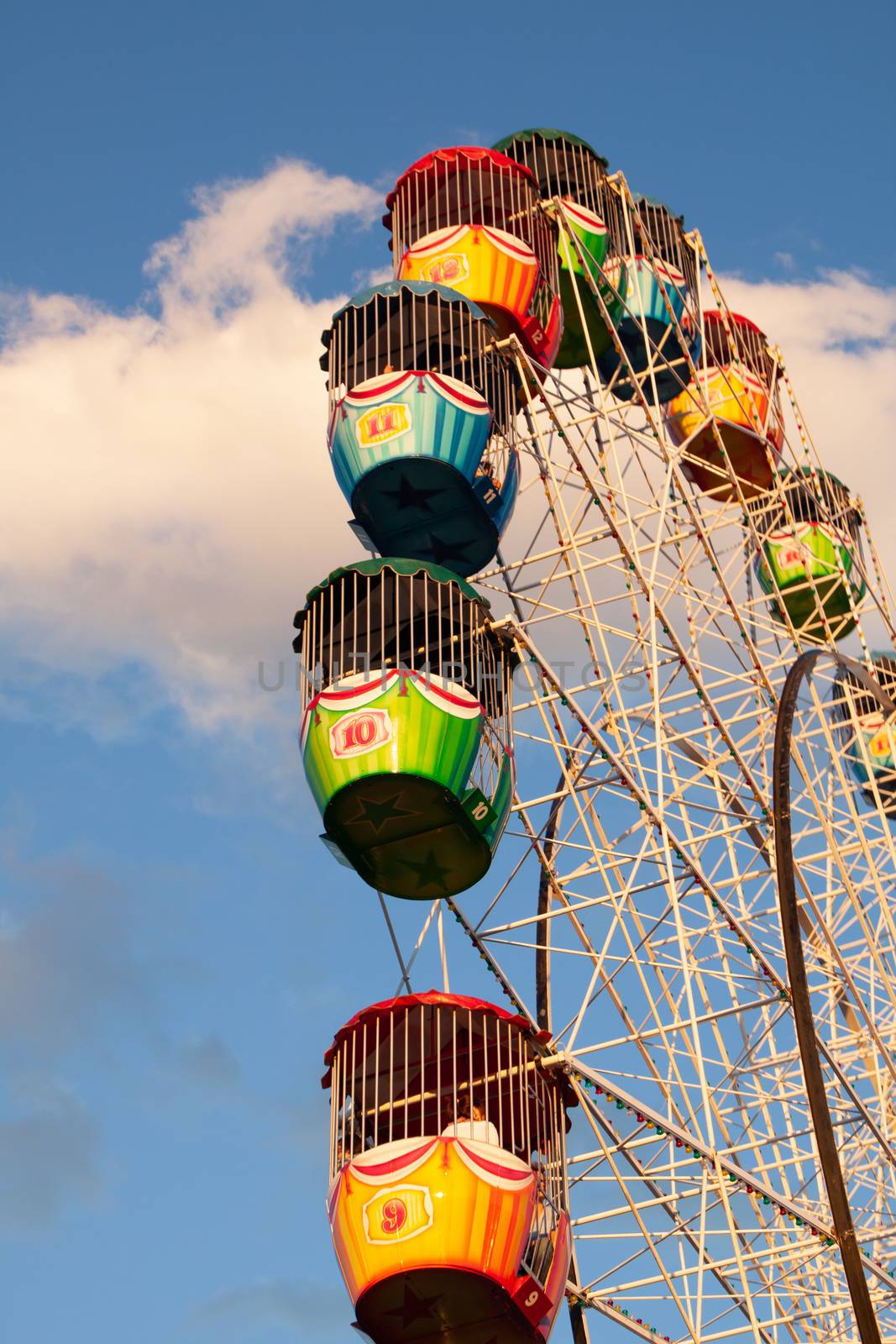 A large ferris wheel at a theme park