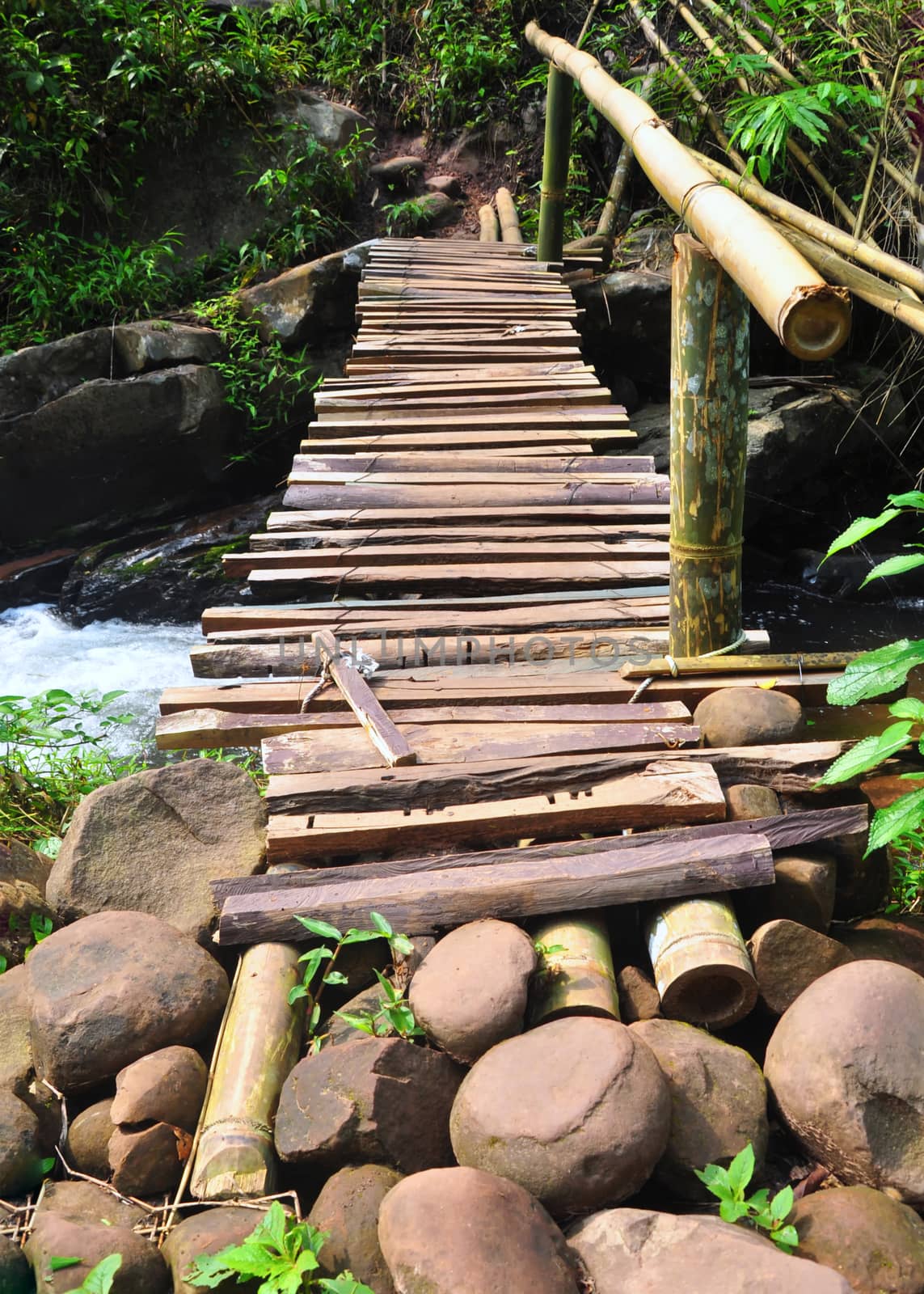 Old wooden bridge across the stream in the forest, Phu Soi Dao National Park, Thailand
