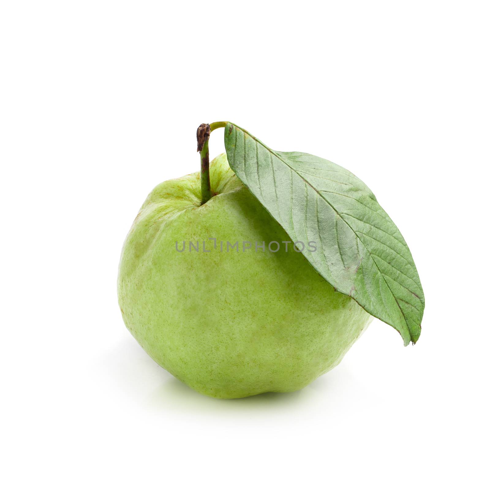 Guava fruit isolated on a white background.