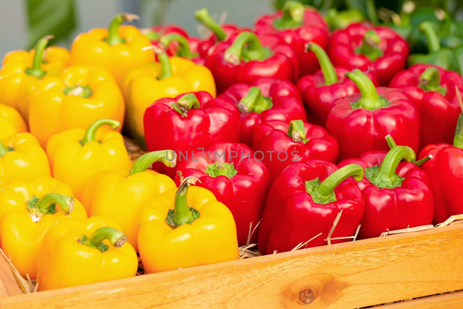 Yellow and Red peppers in wooden boxes.