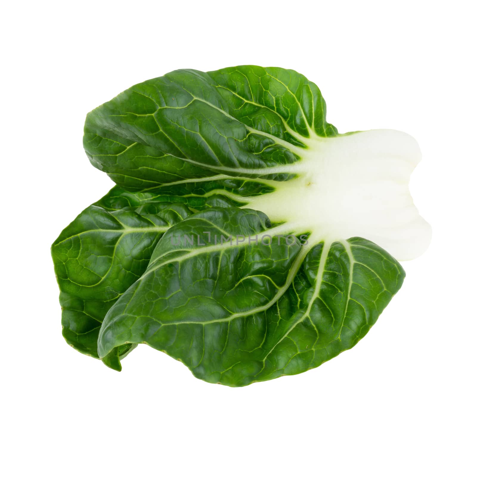 Lettuce leaves isolated over the white background.