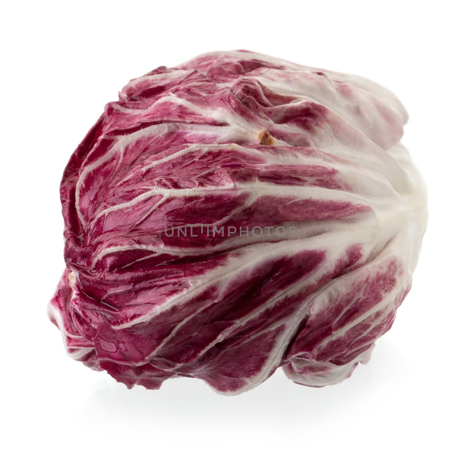 Radicchio, red salad isolated on white background by kaiskynet