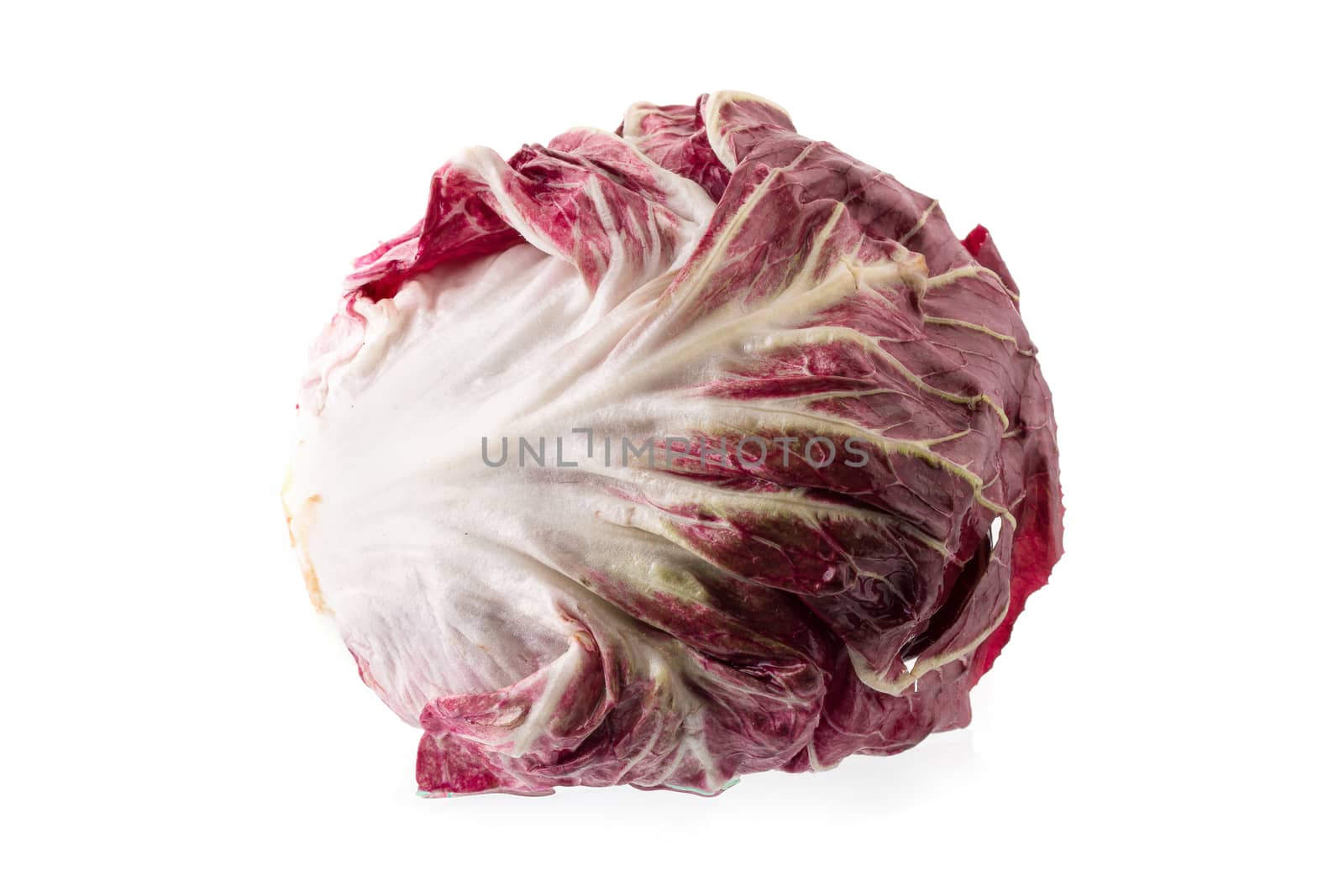 Radicchio, red salad isolated on white background.