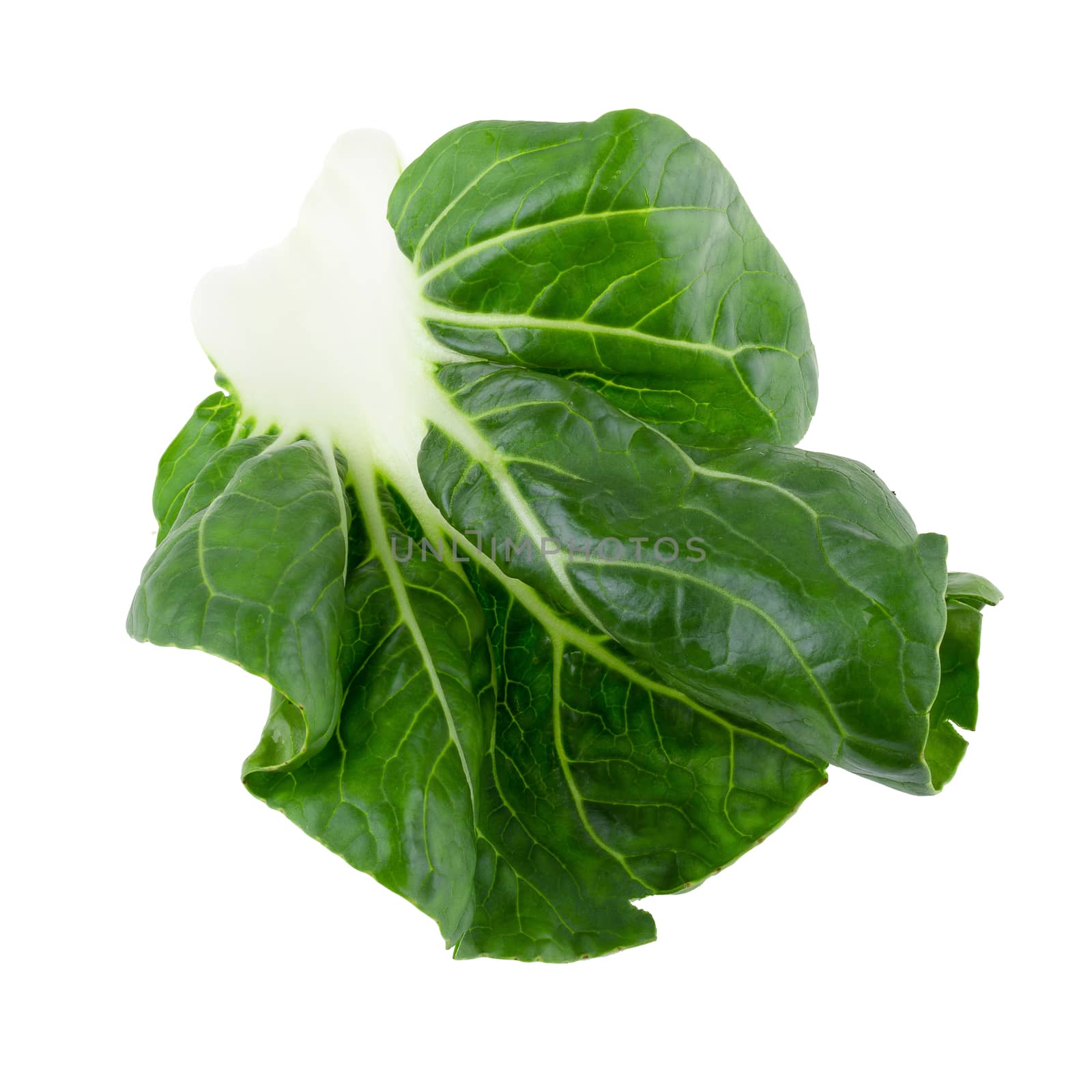 Lettuce leaves isolated on a white background by kaiskynet