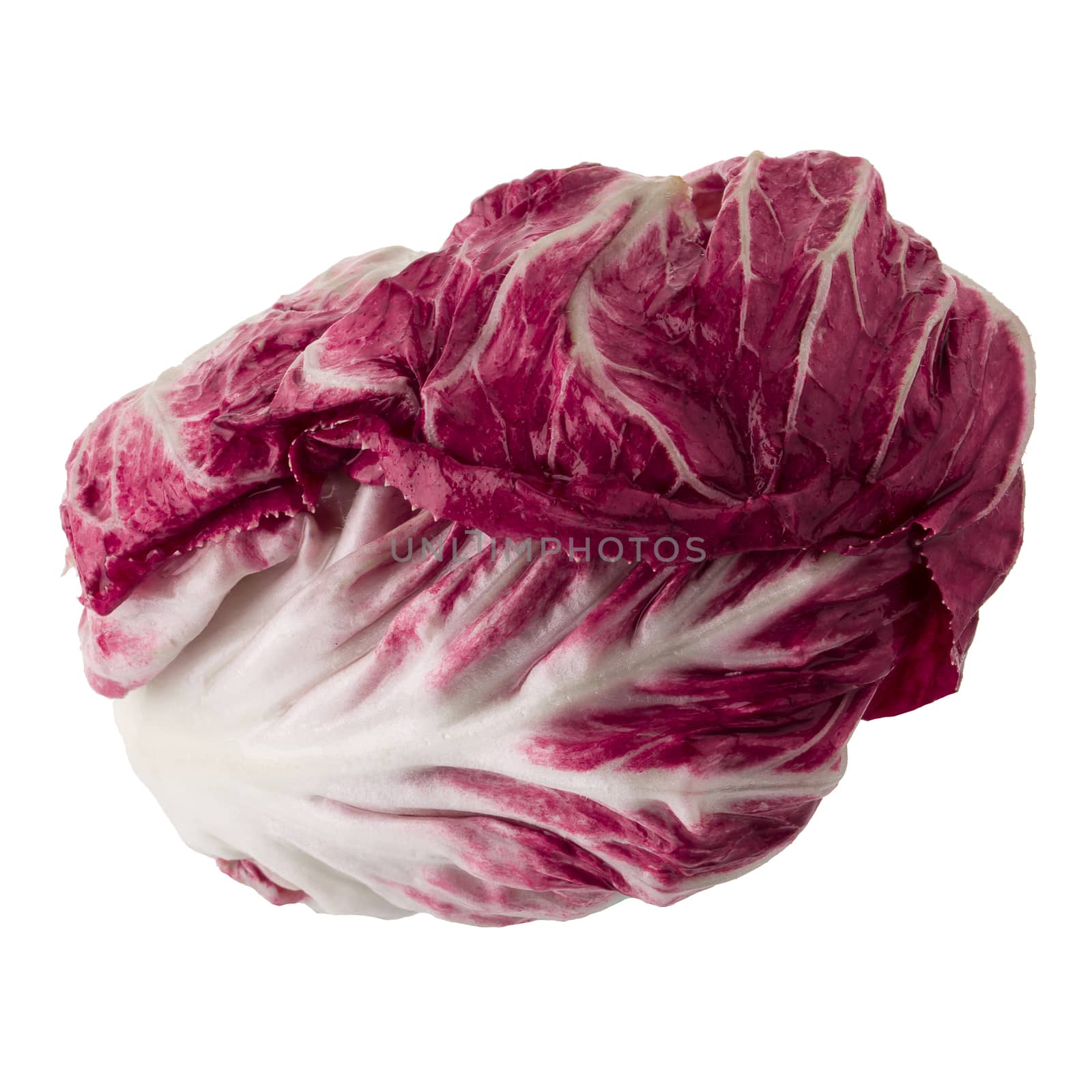 Radicchio, red salad isolated on white background by kaiskynet