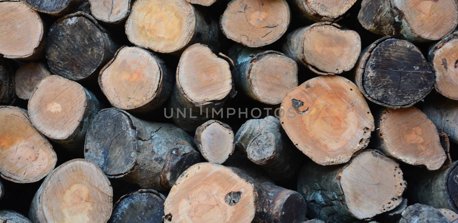 Pile of cut timber background panorama