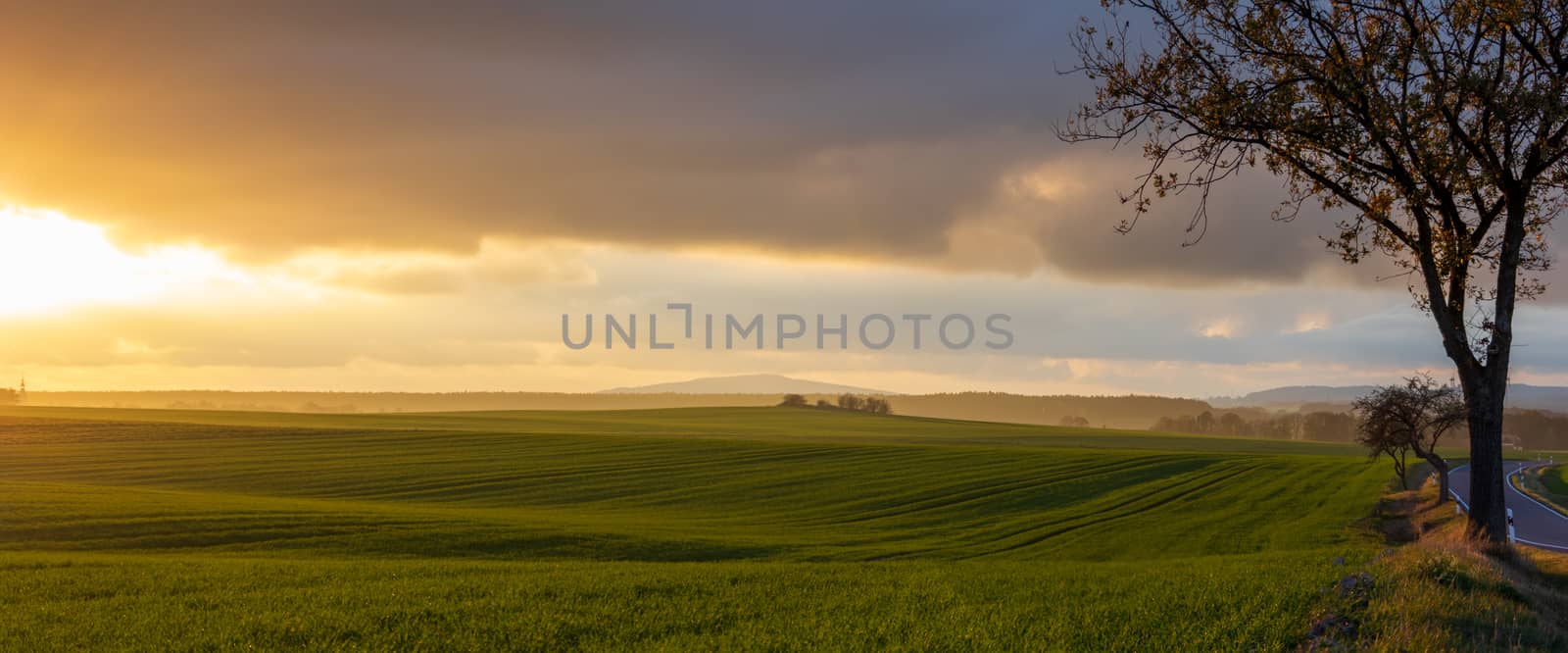 hazy rural evening landscape with golden light and group of trees in the distance. grey hills in the background and agricultural field in foreground
