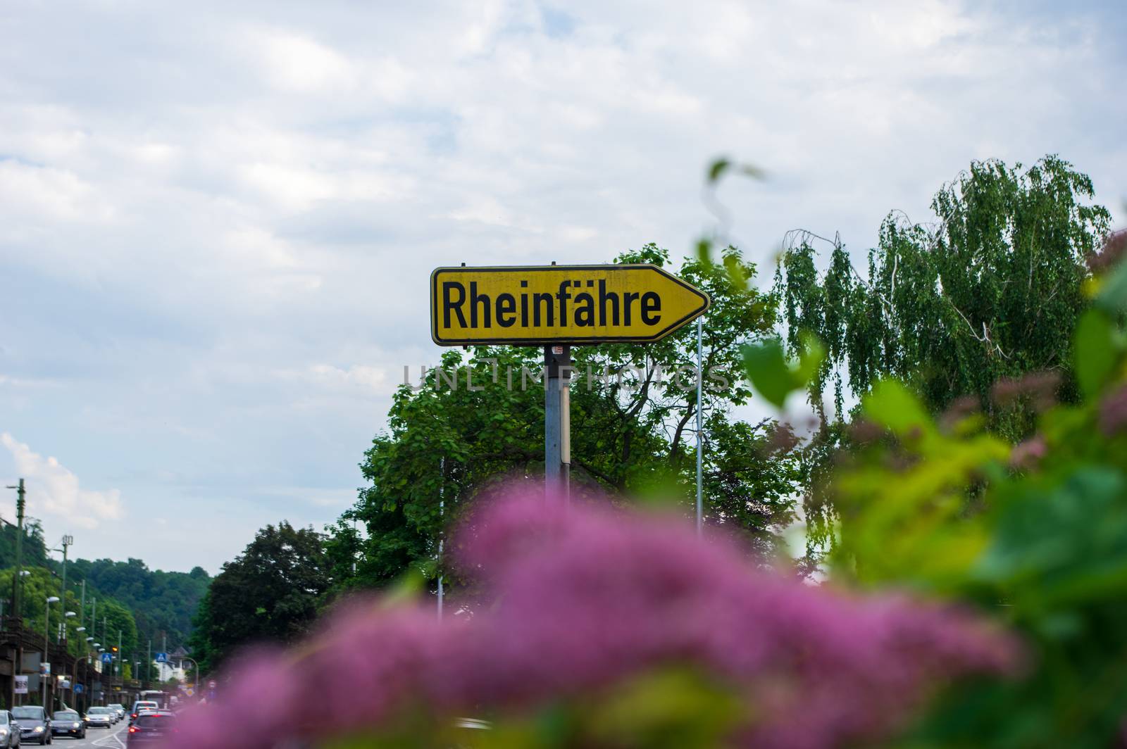 street sign pointing to the ferry over rhine river