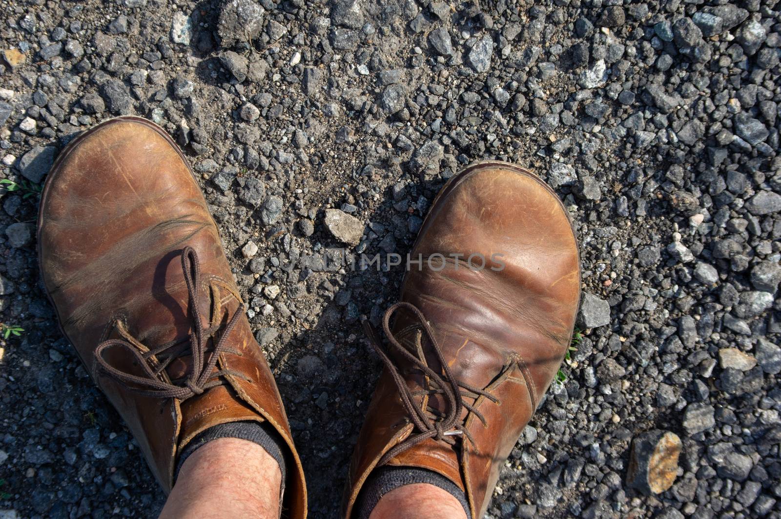 male feet in brown leather shoes top view