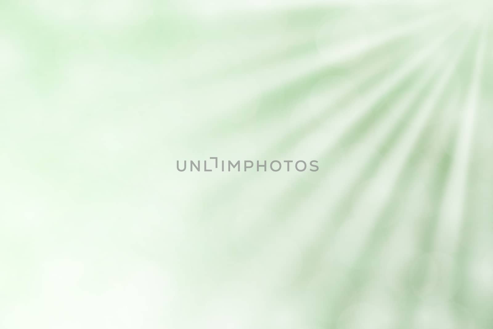 colorful green bokeh lights beam shine on gradient green background for copy space, bokeh colorful light green soft shade, bokeh lights shine on gradient soft green