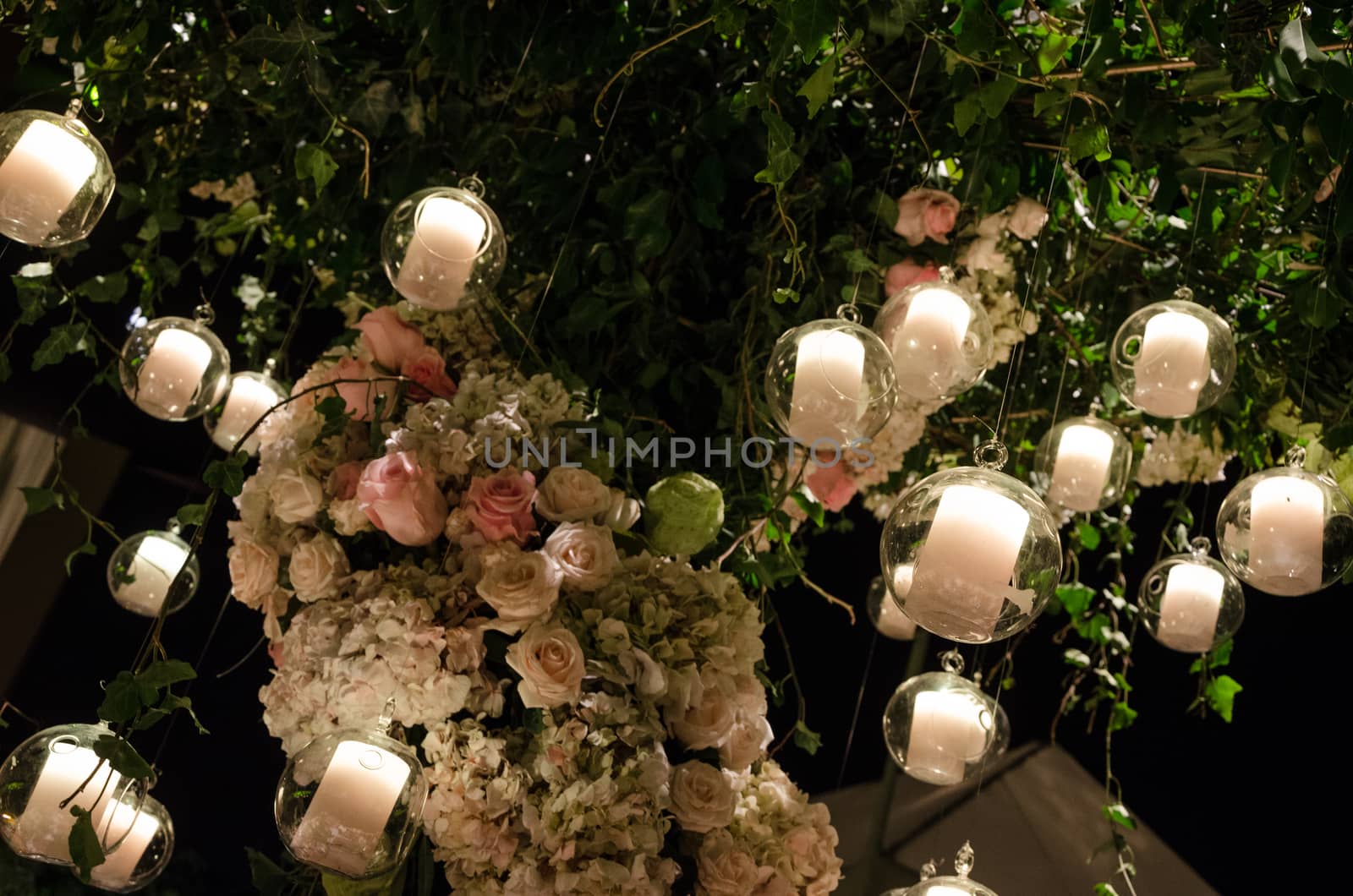 floating candles moored to a tree
