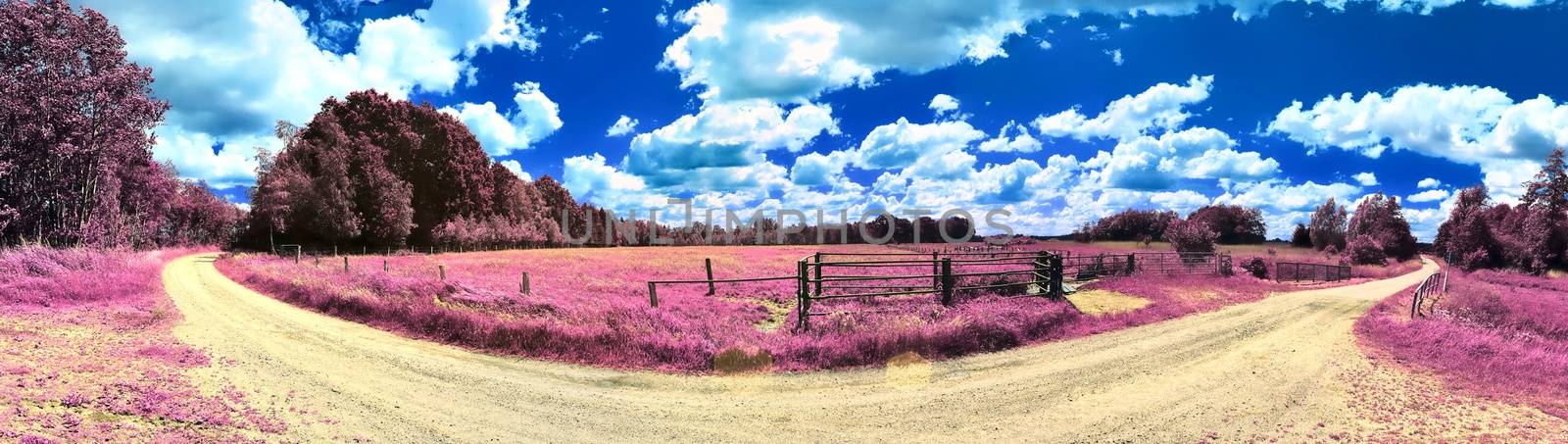 Beautiful and colorful fantasy landscape in an asian purple infr by MP_foto71