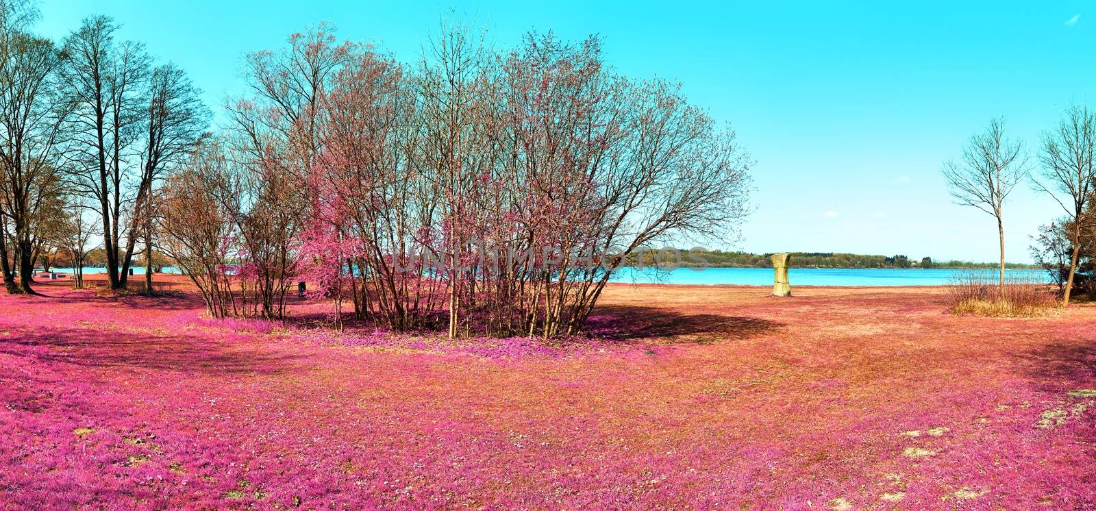 Beautiful and colorful fantasy landscape in an asian purple infrared photo style