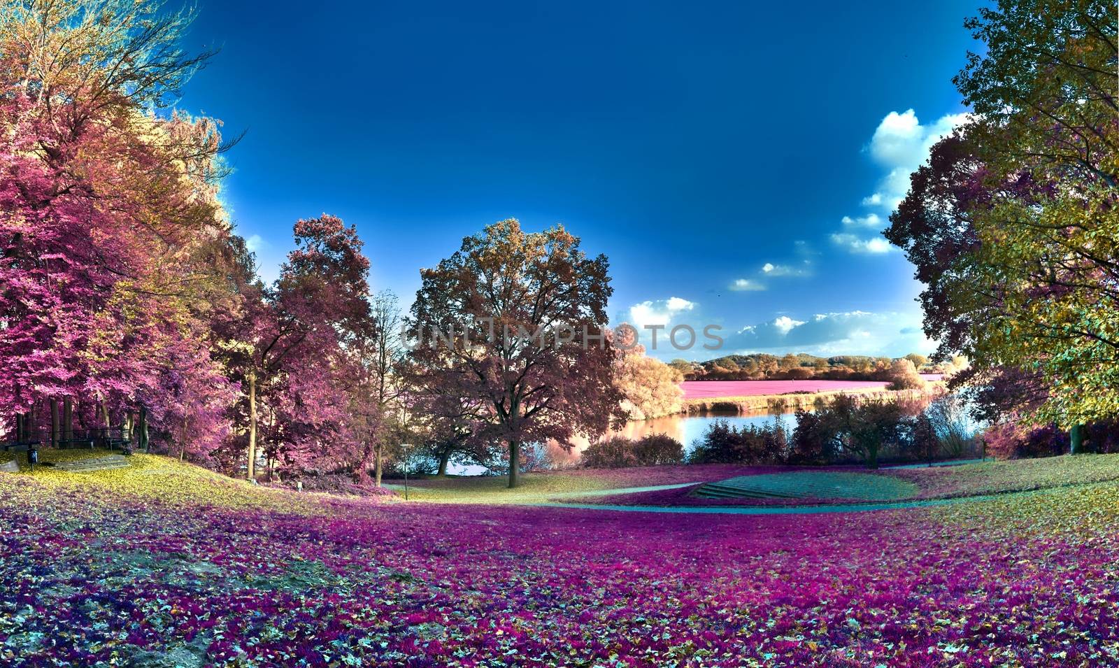 Beautiful and colorful fantasy landscape in an asian purple infrared photo style