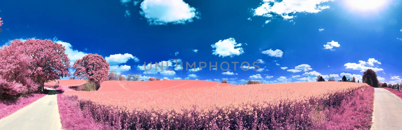 Beautiful and colorful fantasy landscape in an asian purple infr by MP_foto71