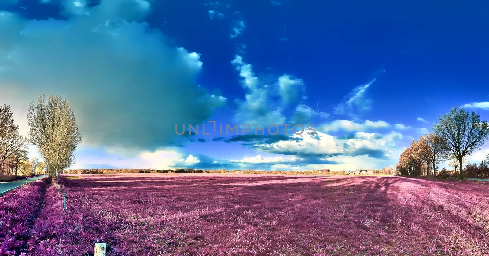 Beautiful and colorful fantasy landscape in an asian purple infrared photo style