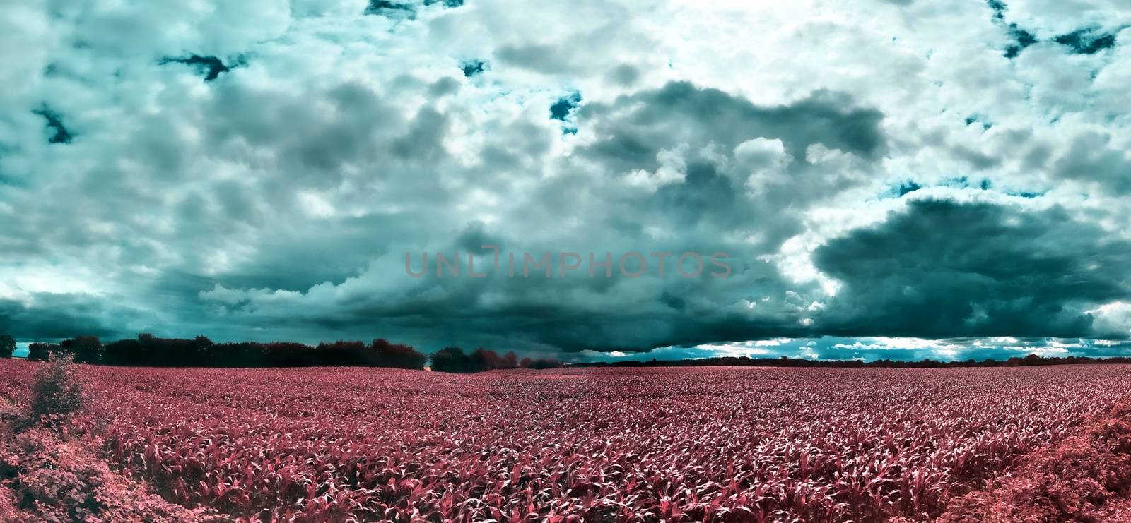 Beautiful and colorful fantasy landscape in an asian purple infrared photo style