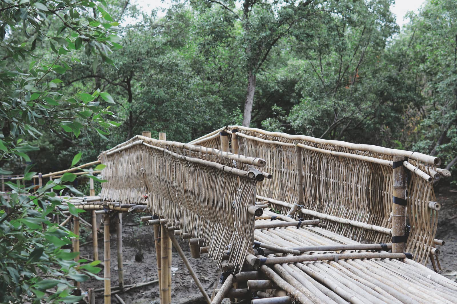 Bamboo bridge built in the forest. Travel by the coast To travel and watch nature