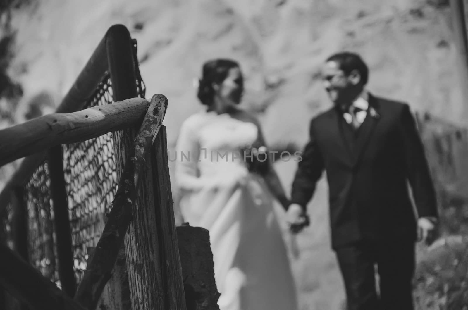 the newlyweds in photo session