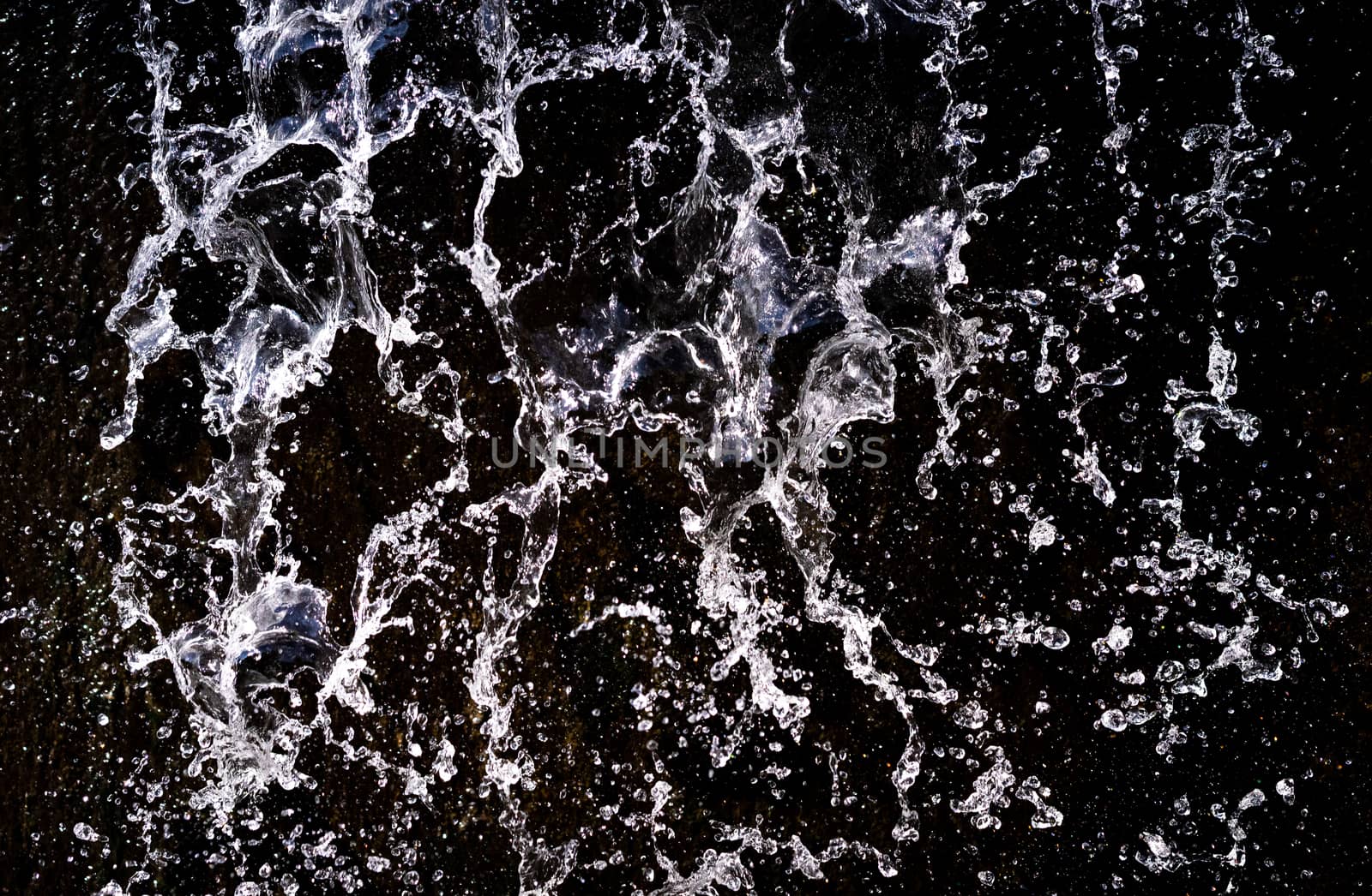 Water splash on black background by domonite