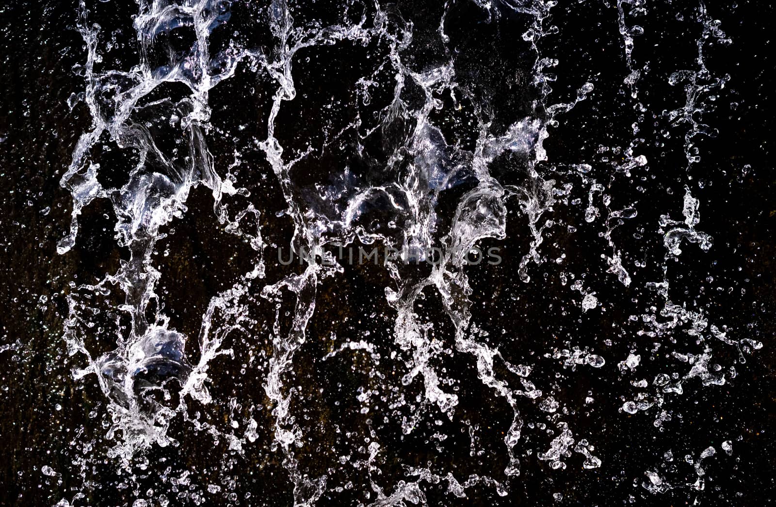 Water splash on black background