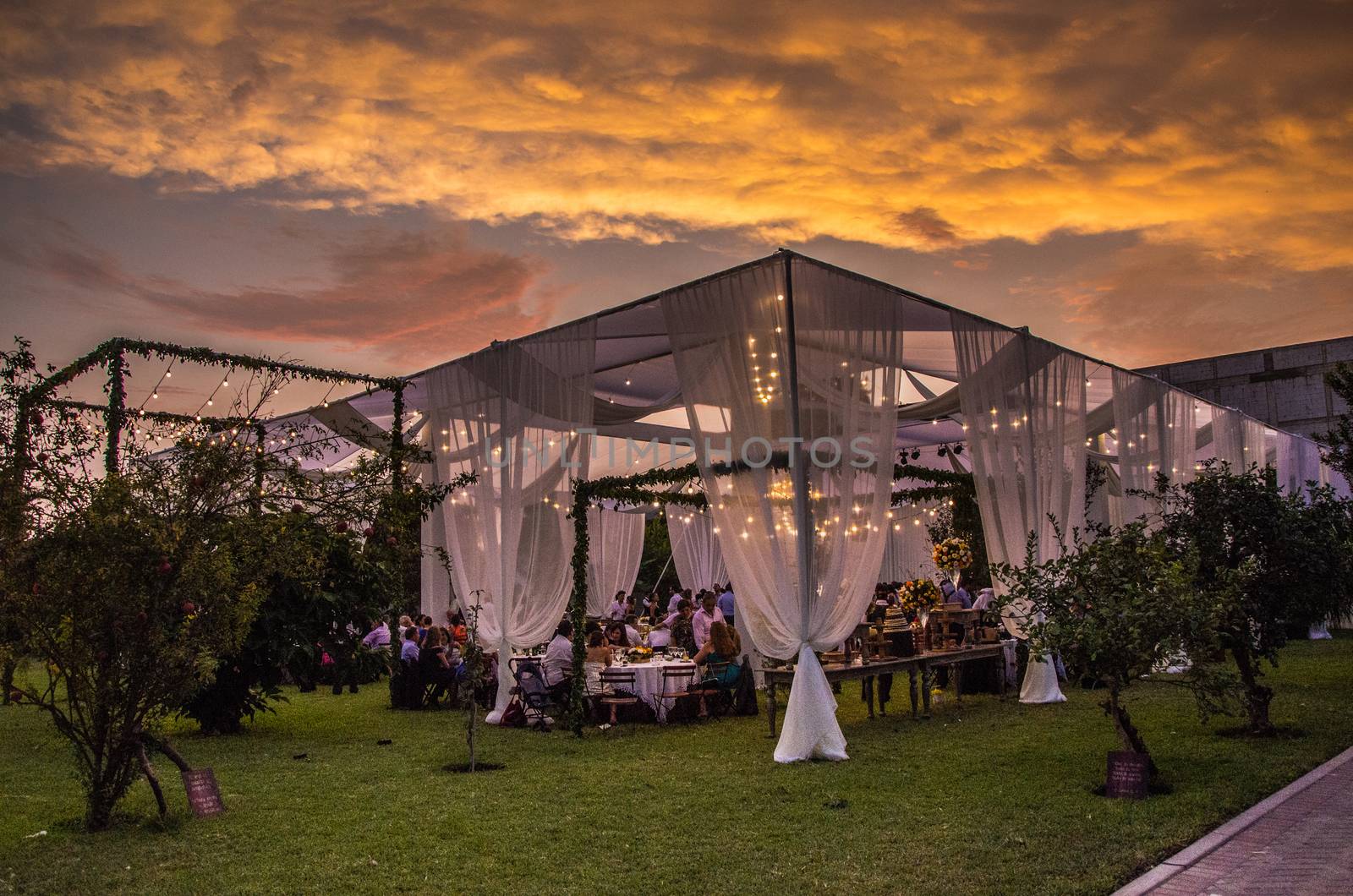 Decoration of a wedding in summer