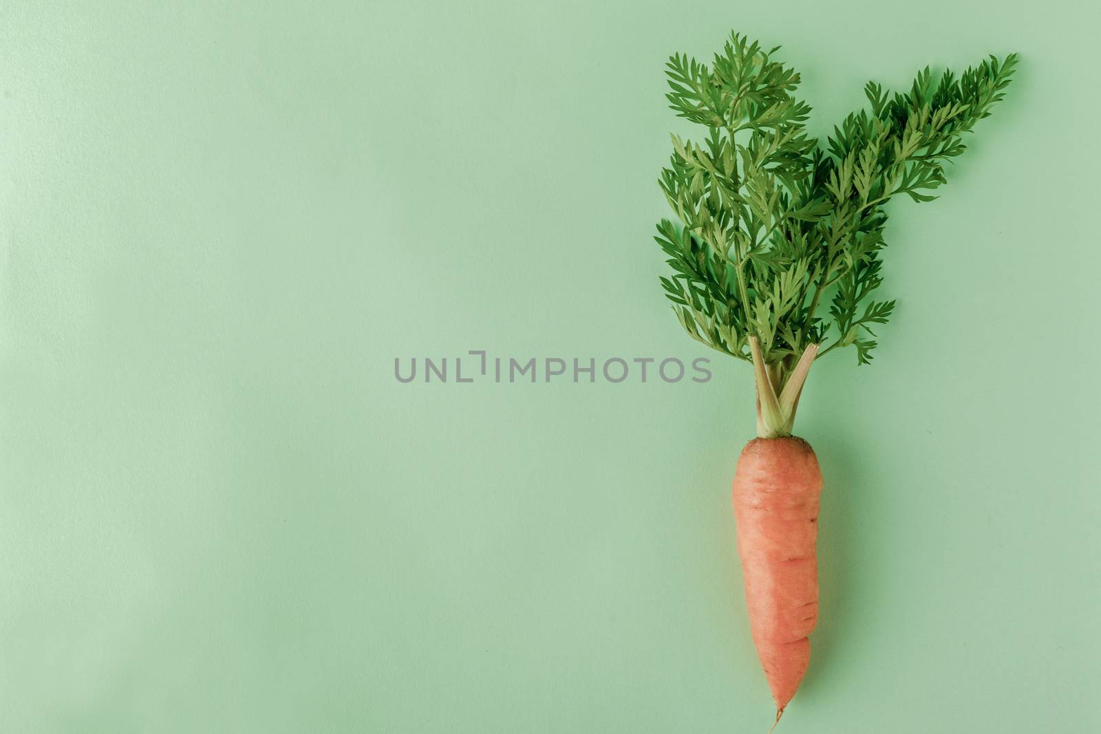 A few fresh carrots on green background. copy space. Summer vegan food concept.