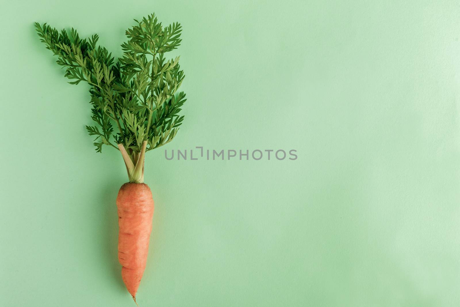 A few fresh carrots on green background. copy space. Summer vegan food concept.