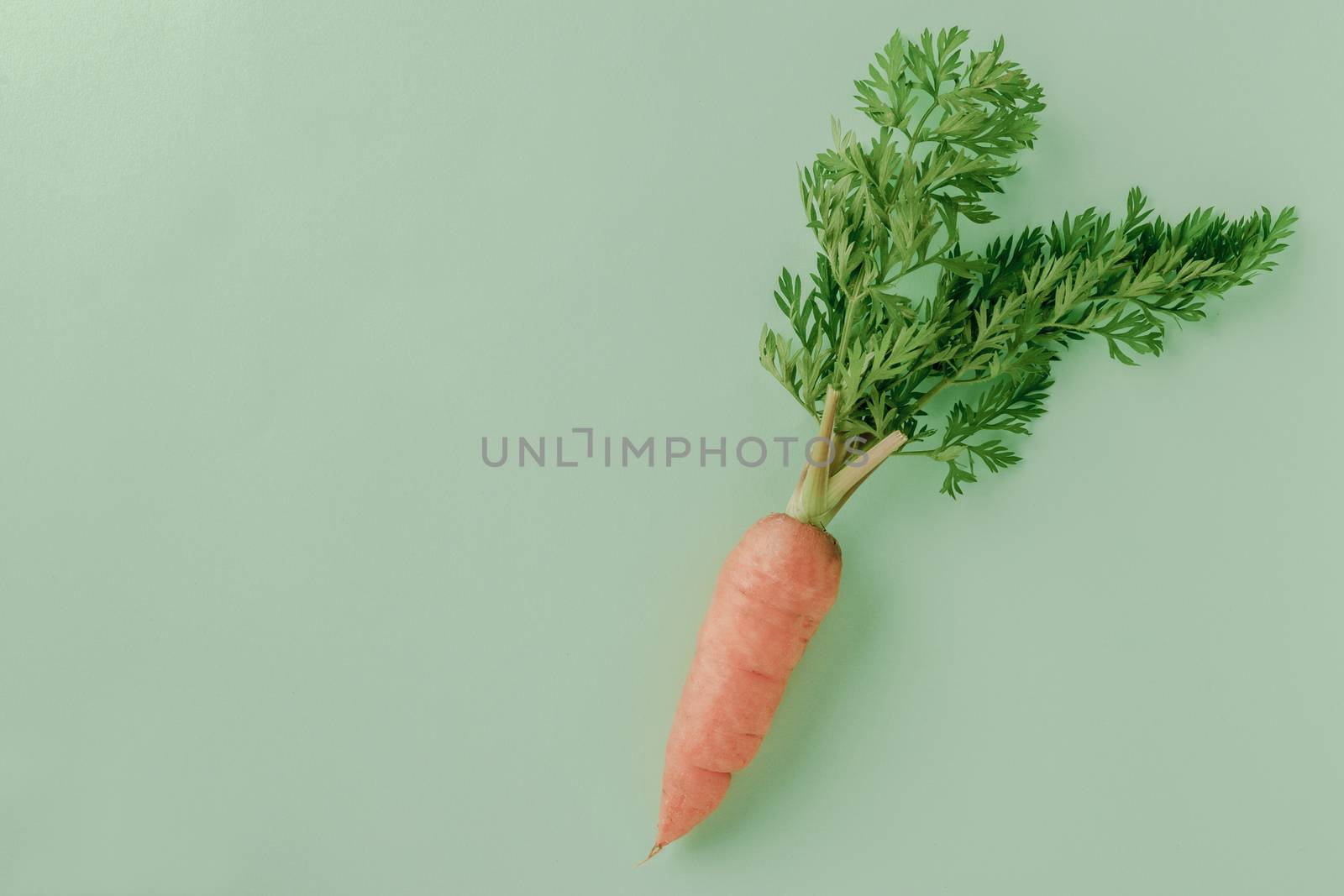 A few fresh carrots on green background. by Aedka_Stodio