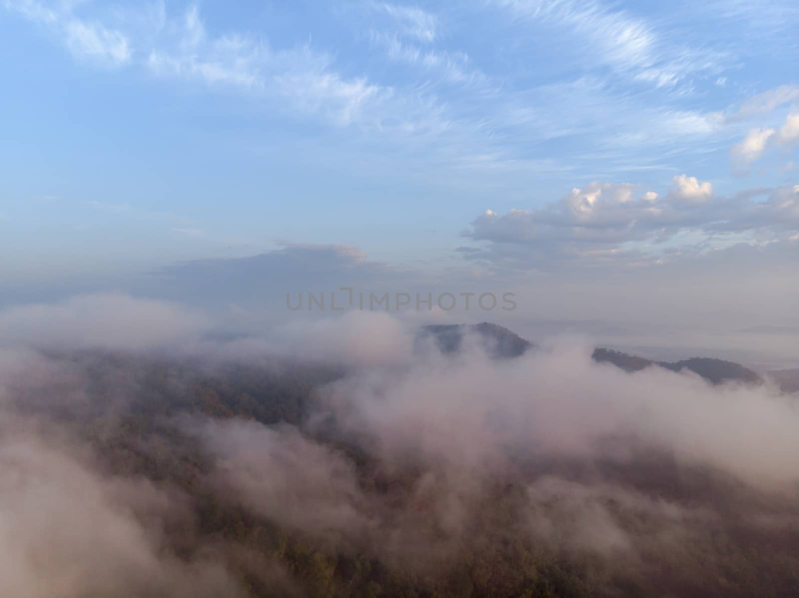 Aerial view forest in morning fog mist, breathing mountains, Sun by Aedka_Stodio