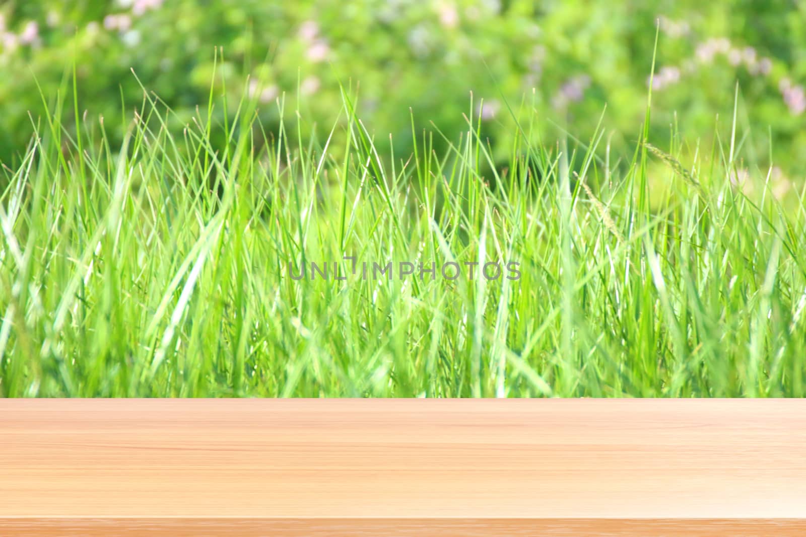 wood plank on blurred bokeh soft grass nature background, empty wood table floors on bokeh of dew grass natural green, wood table board empty front background grass abstract light green