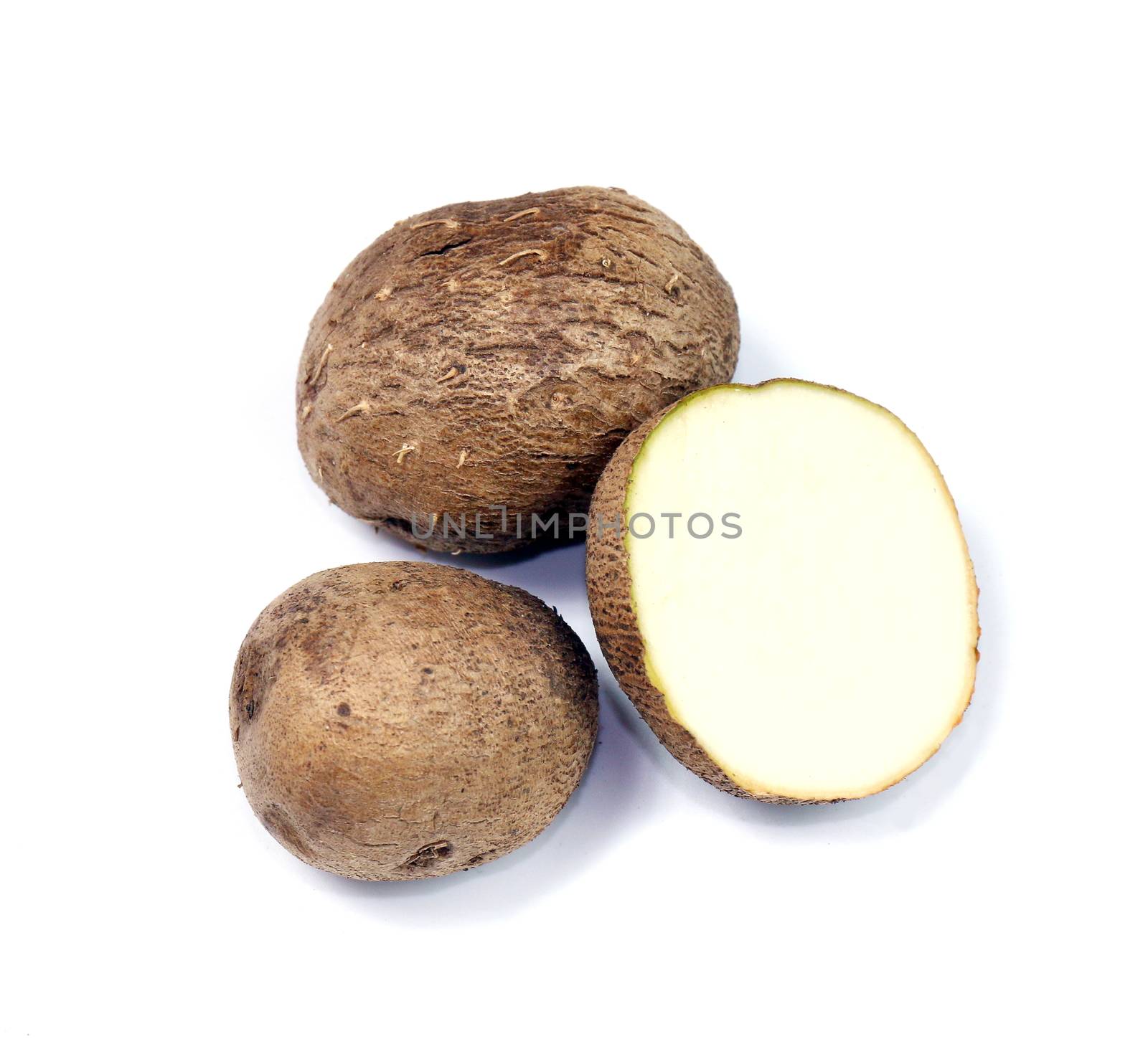 Dioscorea, Mun-Neb (Thai word), Fresh Dioscorea tuck, Dioscorea slats root isolated on white background, Rubeola fotografie