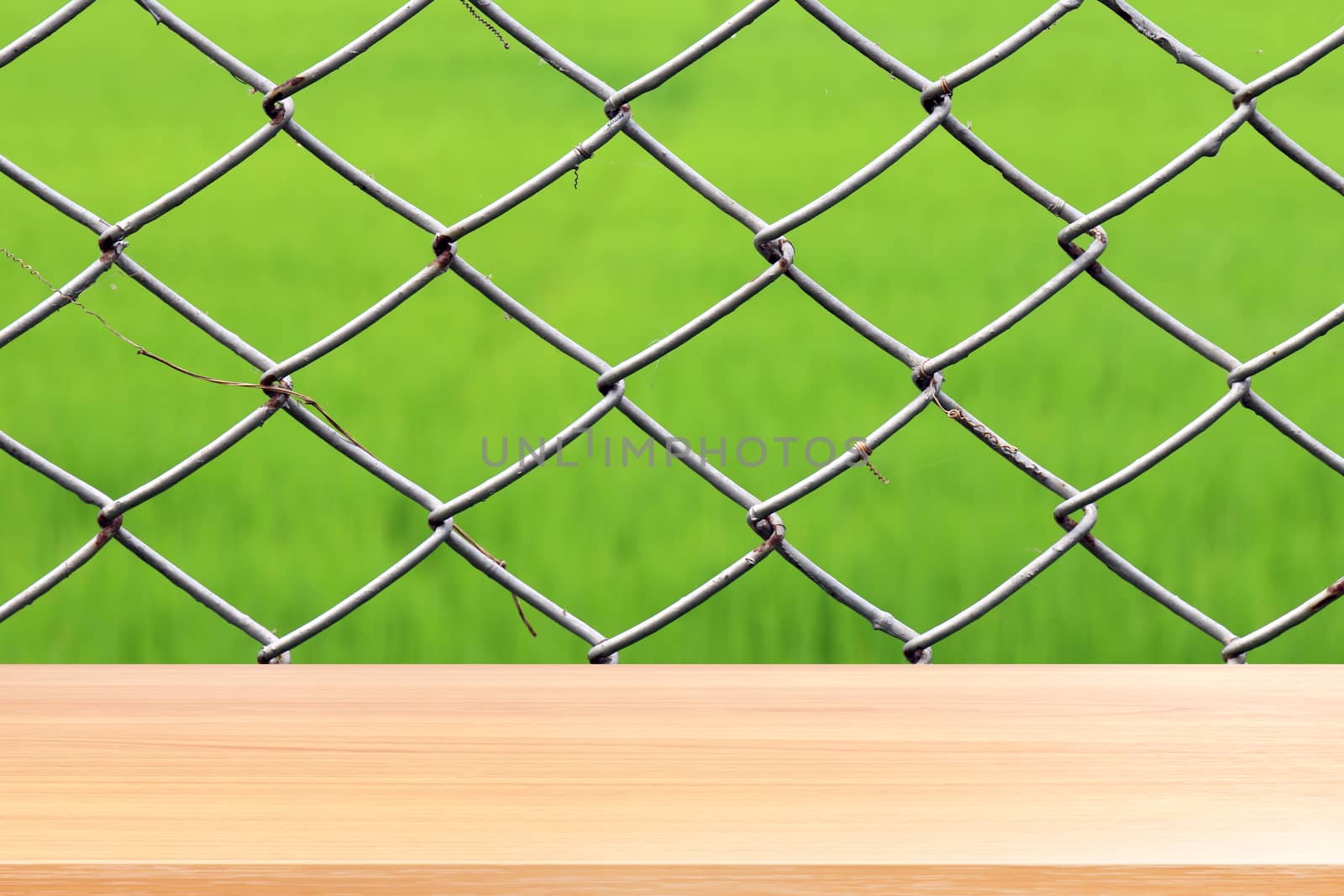 wood plank on wire metal netting background, empty wood table floors on rusty barbed wire detention center security, wood table board empty front chain link fence close up on green nature background