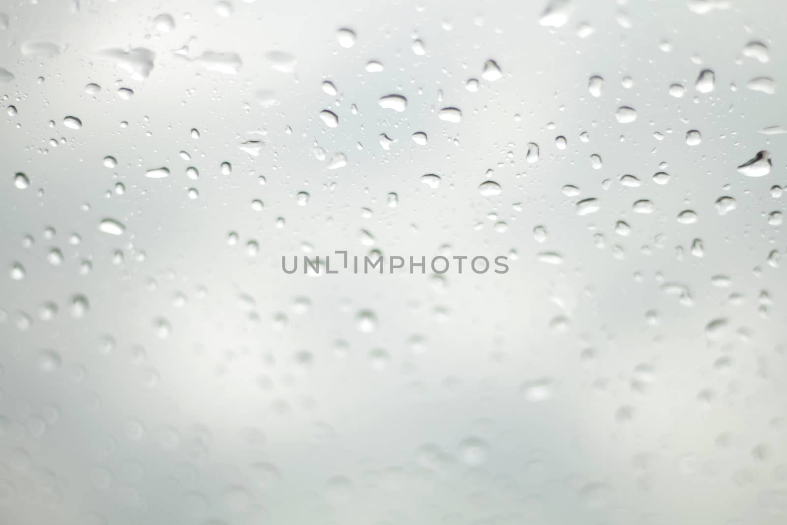 Water Drop Rain, Raindrop water on glass (Selective Focus)