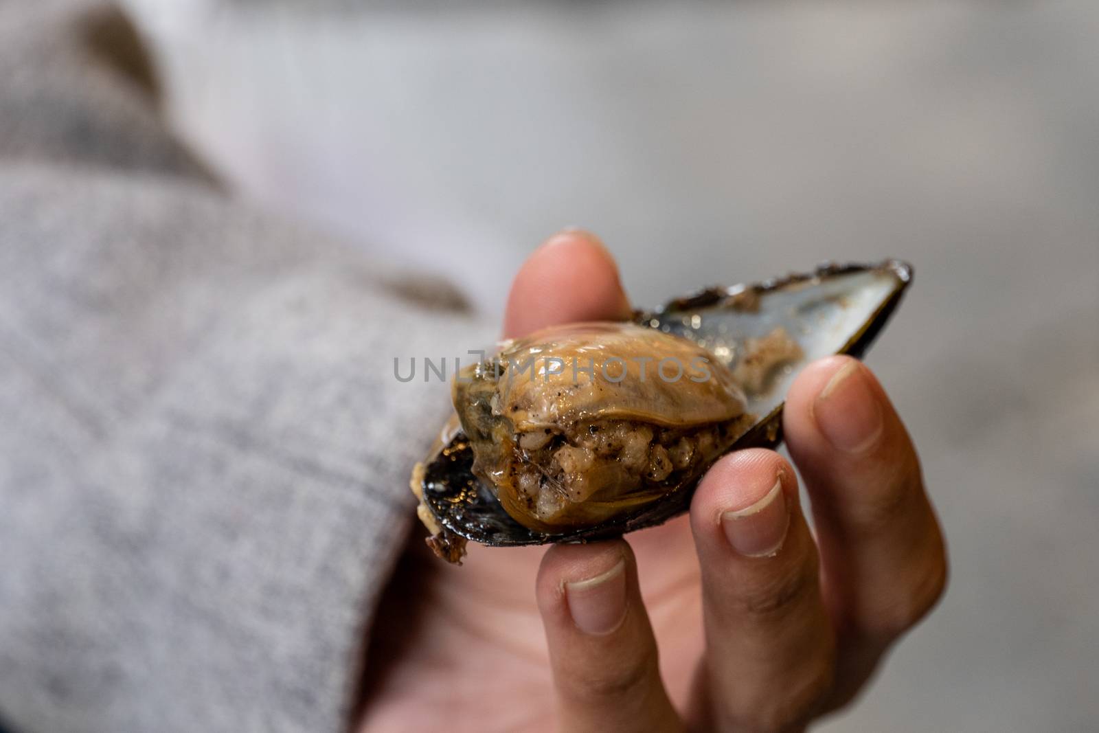 Turkish traditional food stuffed mussels with rice Midye Dolma.