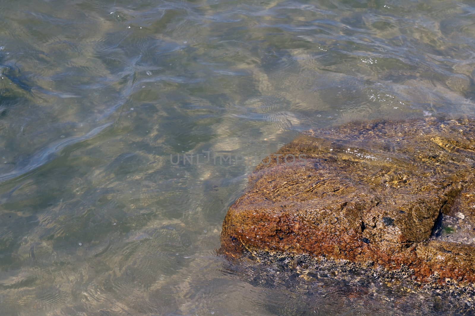 Crystal clear sea water and superb clean, See rocks on the bottom of the sea nature ocean, under water in beach clear and clean, Winter sea with travel tropical or summer holiday